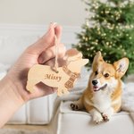 Cadeau de Noël pour chien et chat avec chapeau et écharpe Cadeau de Noël pour les amoureux des animaux de compagnie
