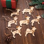 Cadeau de Noël pour chien et chat avec chapeau et écharpe Cadeau de Noël pour les amoureux des animaux de compagnie