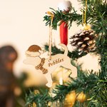 Cadeau de Noël pour chien et chat avec chapeau et écharpe Cadeau de Noël pour les amoureux des animaux de compagnie