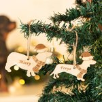 Cadeau de Noël pour chien et chat avec chapeau et écharpe Cadeau de Noël pour les amoureux des animaux de compagnie