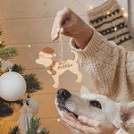 Cadeau de Noël pour chien et chat avec chapeau et écharpe Cadeau de Noël pour les amoureux des animaux de compagnie