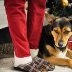 Pantoufles en Peluche Personnalisées avec Photo d‘Animal et Nom Cadeau Anniversaire Noël pour Propriétaires d'Animal de Compagnie