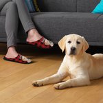 Pantoufles en Peluche Personnalisées avec Photo d‘Animal et Nom Cadeau Anniversaire Noël pour Propriétaires d'Animal de Compagnie