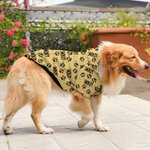 Personalised Cute Paw Print Soft Warm Puppy Dog Cat Hoodie Clothes with Name Birthday Party Gift for Pet Lover Owner