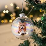 Personlig handritad katt hund husdjursporträtt julglas glödlampa prydnad med namn julgransdekoration festival festgåva för husdjursälskare ägare