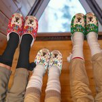 Personalizzato luce stringa cane gatto foto cotone peluche pantofole casa scarpe con nome regalo di compleanno per l'amante degli animali domestici
