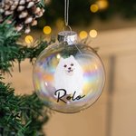 Personlig handritad katt hund husdjursporträtt julglas glödlampa prydnad med namn julgransdekoration festival festgåva för husdjursälskare ägare