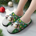 Personalizzato luce stringa cane gatto foto cotone peluche pantofole casa scarpe con nome regalo di compleanno per l'amante degli animali domestici