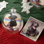 Personlig handritad katt hund husdjursporträtt julglas glödlampa prydnad med namn julgransdekoration festival festgåva för husdjursälskare ägare