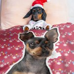 Personalized Snowflake Colored Christmas Lights Dog Cat Photo Throw Blanket with Name Home Decor Birthday Christmas Gift for Pet Owners