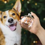Personlig handritad katt hund husdjursporträtt julglas glödlampa prydnad med namn julgransdekoration festival festgåva för husdjursälskare ägare