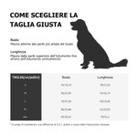 Costume Personalizzato per Cucciolo con Faccia di Zucca Morbido e Caldo con Cappuccio e Nome Regalo Compleanno Halloween per L'Amante Degli Animali