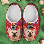 Personalizzato luce stringa cane gatto foto cotone peluche pantofole casa scarpe con nome regalo di compleanno per l'amante degli animali domestici