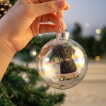 Personlig handritad katt hund husdjursporträtt julglas glödlampa prydnad med namn julgransdekoration festival festgåva för husdjursälskare ägare