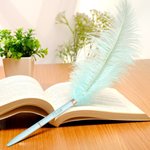 Stylos à Bille Personnalisés avec Texte Gravé Set de 2 Stylos en Peluche d'Autruche Colorée Cadeau Anniversaire Noël pour Écrivain Collègue Ami
