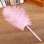 Stylos à Bille Personnalisés avec Texte Gravé Set de 2 Stylos en Peluche d'Autruche Colorée Cadeau Anniversaire Noël pour Écrivain Collègue Ami