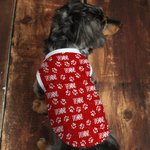 Gepersonaliseerde Multicolor Schattige Poot 100% Katoenen Hondenkleding met Naam Verjaardag Herdenkingsdag Geschenk voor Huisdierliefhebbers Eigenaar