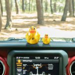 Personalised 3D Print Double Middle Finger Duck with Text Tabletop Decoration Funny Jeep Accessory White Elephant Gift for Friend Colleague