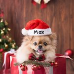 Personlig mjuk och plyschig julhatt med glitterbroderat namn Strumpbyxa Julklapp till familjen