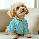 Personalizado multicolor lindo pata impresión suave perro gato camisa con nombre fiesta de disfraces regalo de cumpleaños para los dueños de mascotas