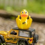 Personalised 3D Print Double Middle Finger Duck with Text Tabletop Decoration Funny Jeep Accessory White Elephant Gift for Friend Colleague