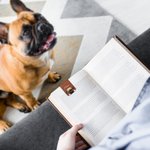 Personlig Söt Akvarell Kikande Katt Hund Magnetisk Läder Bokmärke Clip med Namn Födelsedagspresent för Bokmal Katt Hund Älskare