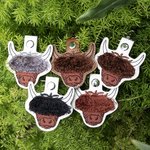Personalisierte Stickerei Multicolor Fransen Pony Hochland Kuh Leder Schlüsselanhänger mit Namen Geburtstag Geschenk für Hochland Kuh Liebhaber