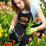 Personalized Birth Flower Kitchen Apron with Name and Pocket for Cooking Baking Gardening Housewarming Gift for Chefs Women
