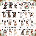 Personalizzato disegnato a mano 1-3 ritratto del cane di Natale Coquette Bow Paw Print T-shirt Felpa con nome Regalo di Natale Outfit per le donne ama