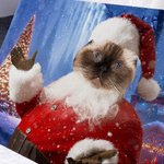 Personalized Funny Christmas Pet with Santa Hat Portrait Canvas Frameless Painting Holiday Gift for Dog Cat Lovers 5