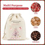 Personalised A Magical Christmas Delivery Pink Fairy Drawstring Bag with Name Christmas Gift for Girls
