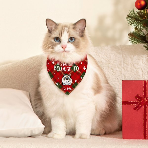 Personalized Christmas Plaid Cartoon Naughty Pet Avatar Adjustable Dog Cat Bandana with Name Birthday Holiday Party Costume Gift for Pet Owners