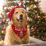 Personalized Christmas Plaid Cartoon Naughty Pet Avatar Adjustable Dog Cat Bandana with Name Birthday Holiday Party Costume Gift for Pet Owners