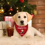 Personalized Christmas Plaid Cartoon Naughty Pet Avatar Adjustable Dog Cat Bandana with Name Birthday Holiday Party Costume Gift for Pet Owners