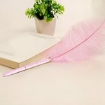 Set di 2 Penne a Sfera Personalizzate in Piuma di Struzzo Colorata con Testo Inciso Regalo di Compleanno per Amanti della Scrittura
