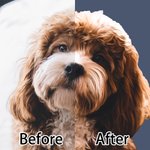 Personalizado Multicolor Amanecer Rayo Perro Gato Retrato Foto Manta Suave con Nombre Regalo de Cumpleaños para Amante de Mascotas