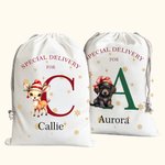 Gepersonaliseerde speciale levering kerst thema dier patroon koord Canvas Gift Bag met naam kerstcadeau voor Kid