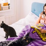 Personalizado Multicolor Amanecer Rayo Perro Gato Retrato Foto Manta Suave con Nombre Regalo de Cumpleaños para Amante de Mascotas