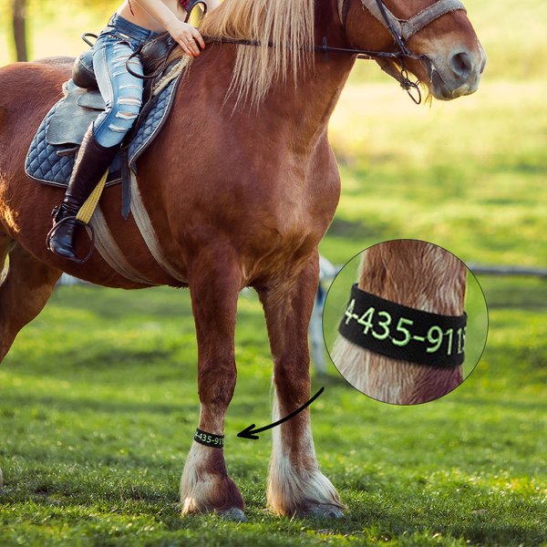 Personalisierte Multi-Color Pferd Knöchel Pastern ID Band mit gestickten Zahl und Text Urlaub Geschenk für Pferdeliebhaber