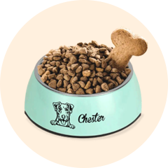For Pet Lovers