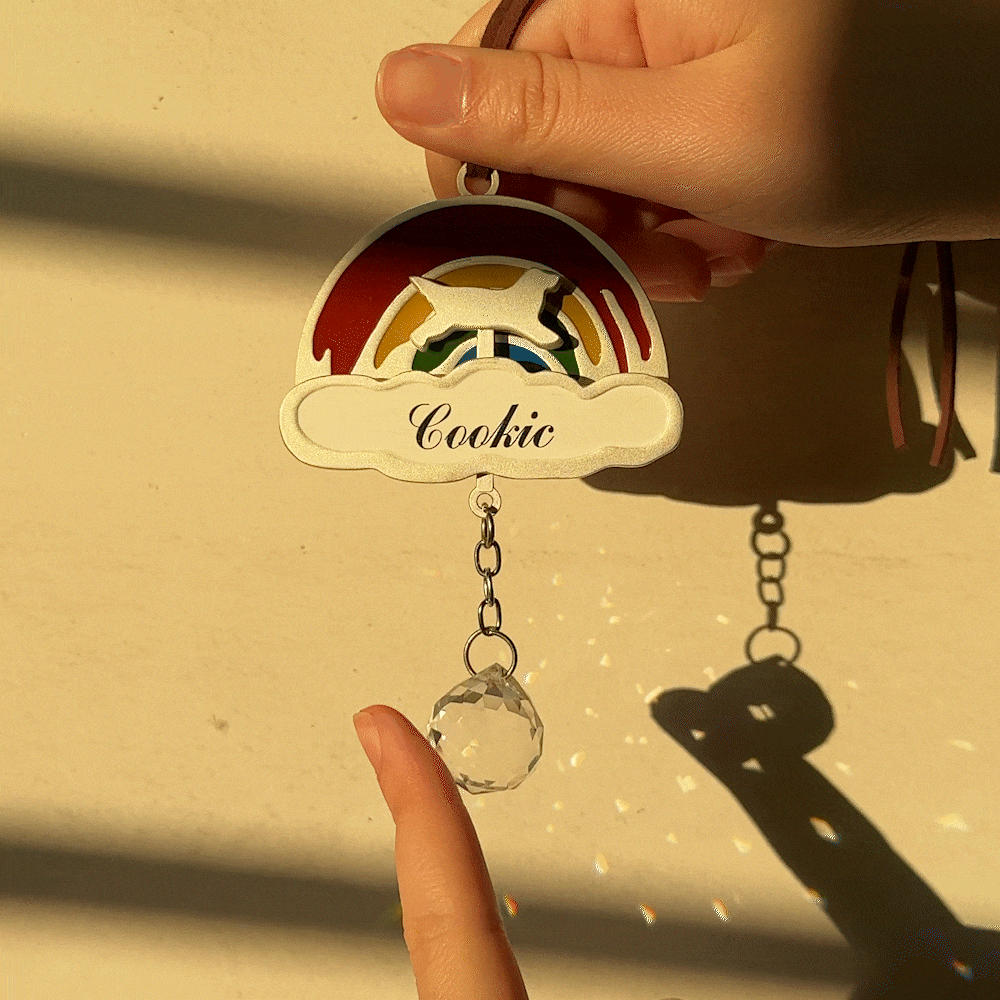 Personlig Rainbow Bridge Cat Dog Car Hanging Ornament med namn och text Pet Memorial Loss Gift för husdjursälskare