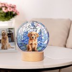 Luz nocturna LED con efecto de vidriera y base de madera Regalo de cumpleaños único Dueño de mascota