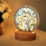 Luz nocturna LED con efecto de vidriera y base de madera Regalo de cumpleaños único Dueño de mascota