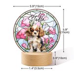 Luz nocturna LED con efecto de vidriera y base de madera Regalo de cumpleaños único Dueño de mascota