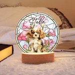 Luz nocturna LED con efecto de vidriera y base de madera Regalo de cumpleaños único Dueño de mascota
