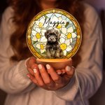 Luz nocturna LED con efecto de vidriera y base de madera Regalo de cumpleaños único Dueño de mascota
