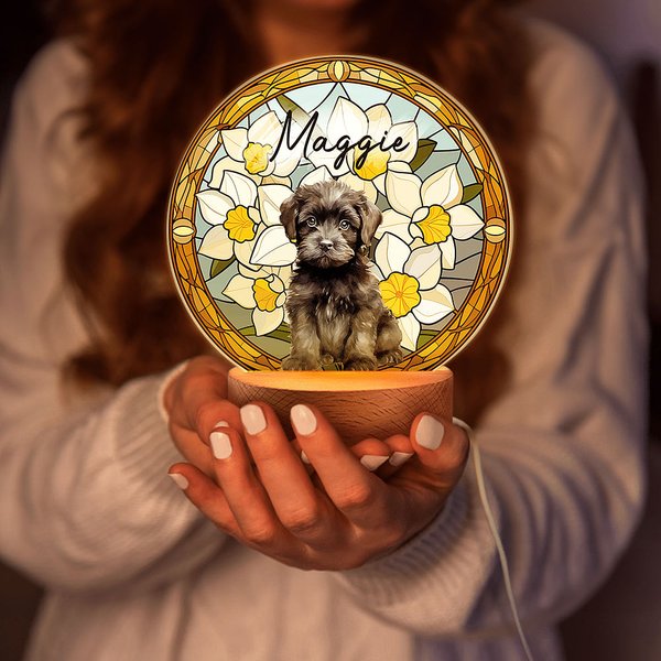 Luz nocturna LED con efecto de vidriera y base de madera Regalo de cumpleaños único Dueño de mascota