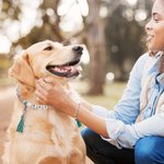 Collier pour chien et chat avec perles en silicone et bracelet avec nom et pompon Cadeau d'anniversaire pour le propriétaire de l'animal de compagnie