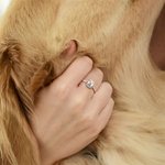 Personalizzato inciso 1-4 Cat Dog Pet Photo Ring Memorial Gioielli Sympathy Pet Day Gift for Pet Lover
