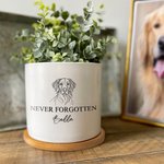 Personalized Dog Cat Pet Line Design Ceramic Succulent Planter Pot with Name and Bamboo Tray Loss of Pet Memorial Gift for Pet Owner